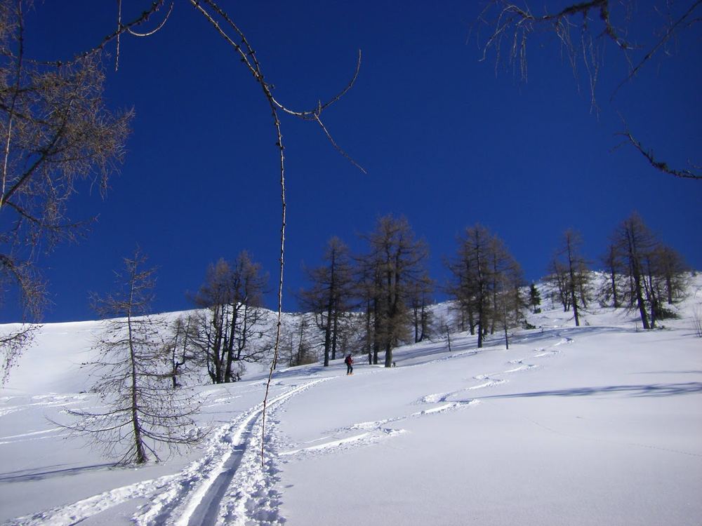 Der Latschenhang zur Schneid des Braunedelkogels. Im Winter sind von den Latschen kaum welche zu sehen.