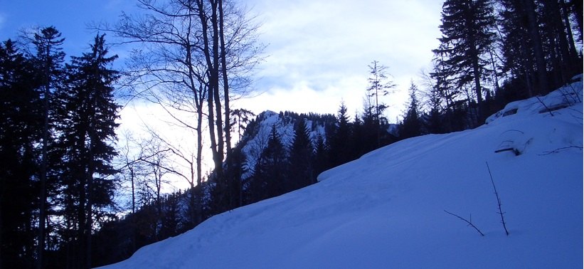 Aufstiegshang zum Königsberger Horn (im Hintergrund)
