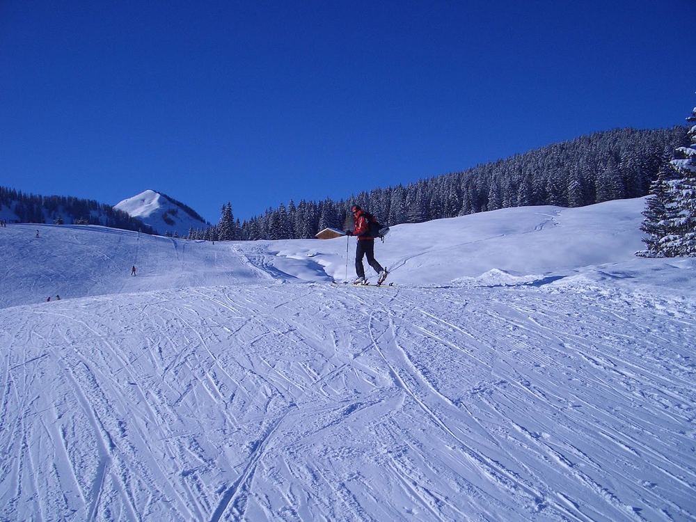 Beginn des Anstiegs über die Skipiste. An deren oberem Ende quert man die Langlaufloipe und geht auf flachem Waldweg weiter.