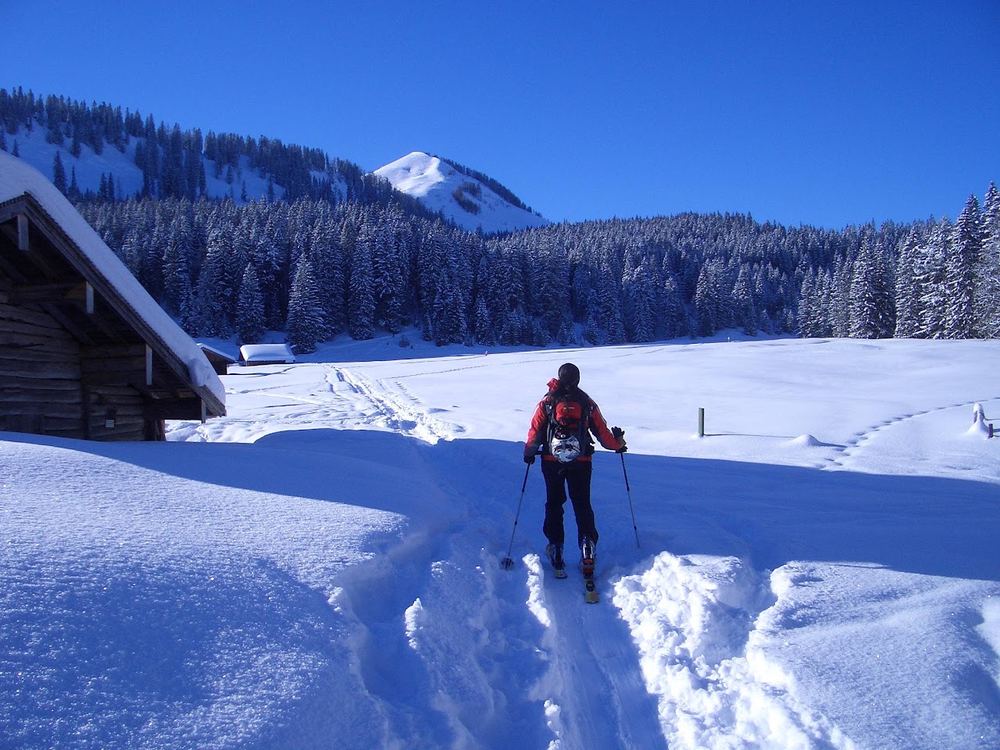 Nach der Bachüberquerung flach vorbei an den Hütten der Innerlienbachalm. Nach der letzten Hütte geht es rechts schräg nach oben in den Wald.