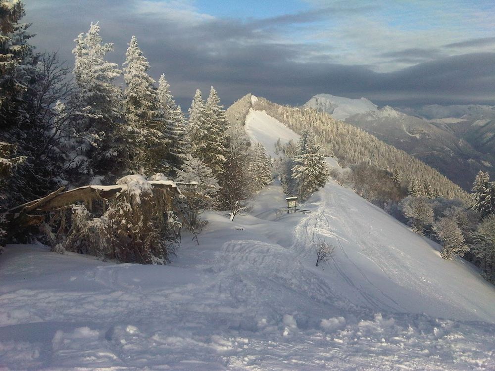 Blick vom Pillstein-Gipfel zum Zwölferhorn-Gipfel, im Hintergrund der Schafberg