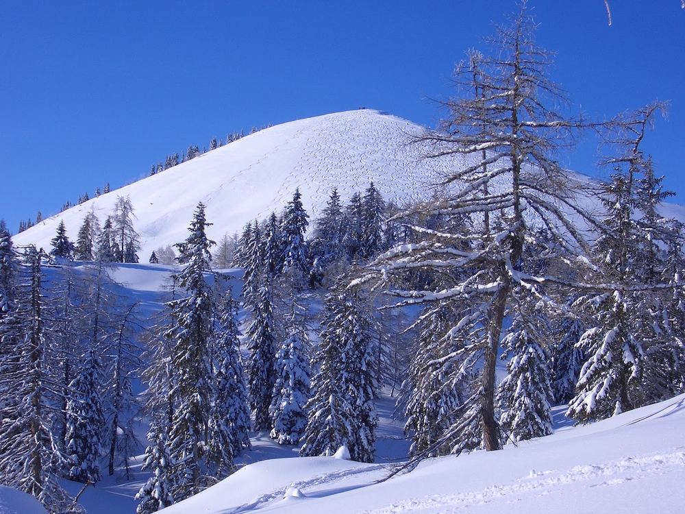 Blick auf den Berggipfel vom Fuße des Pitscherbergs