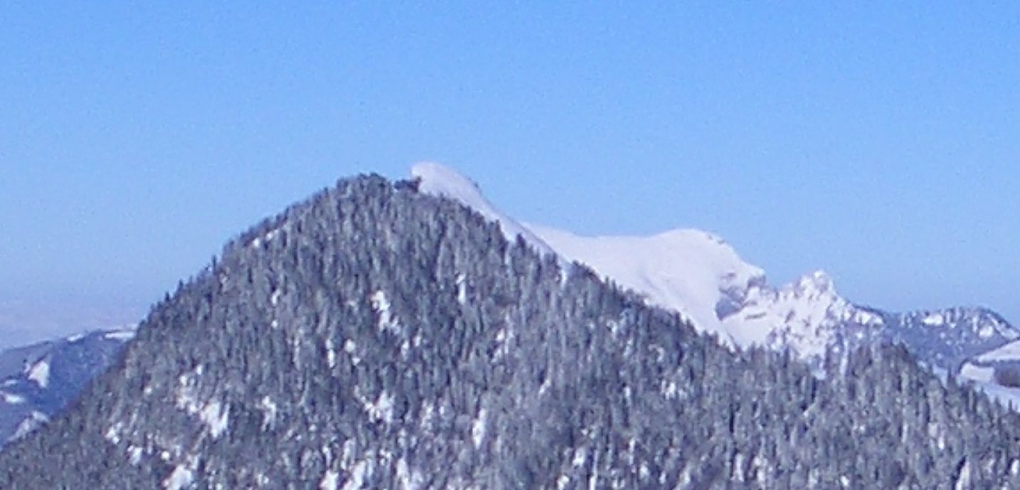 Das Wieslerhorn mit der löffelartigen Spitze; rechts der steile, baumfreie Osthang