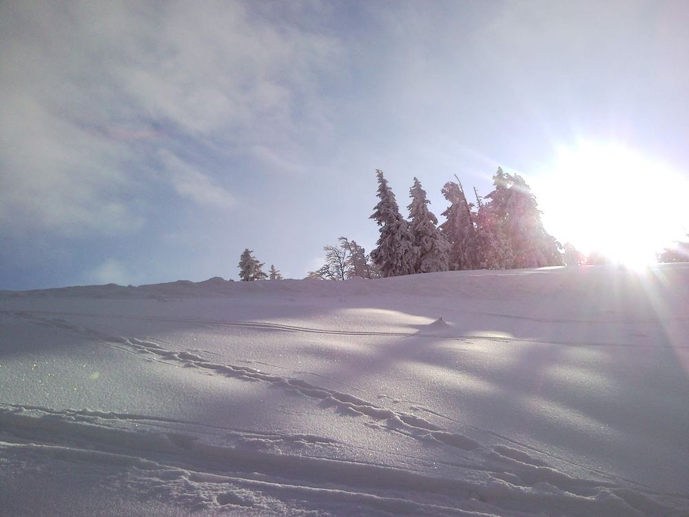 Winterstimmung am Zwölferhorn